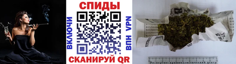 дарнет шоп  Чадан  kraken как войти  Бутират буратино 