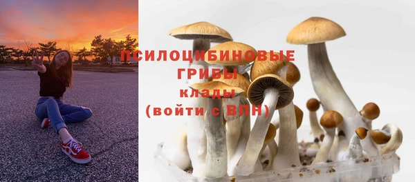 твердый Алексин