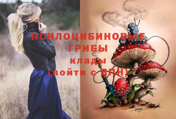 твердый Алексин